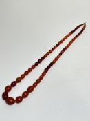 A dark and honey coloured graduated amber bead necklace, (L x 37cm), largest bed 2cm , smallest 0.