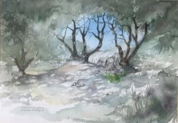 Malcom Whittley (Scottish), Olive Grove, Paxos, watercolour and pencil on paper, signed bottom