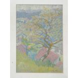 Cynthia Wall (British 1927-2012), Summer Tree, pastel on board, signed pencil bottom right in a gilt