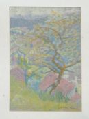 Cynthia Wall (British 1927-2012), Summer Tree, pastel on board, signed pencil bottom right in a gilt