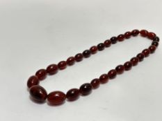 A dark brown graduated Amber bead necklace with screw fastening, (L x 20cm) 33.9g