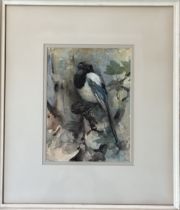 •Anna Dixon R.S.W. (Scottish, 1873-1959), Study of a Magpie, signed lower left, watercolour, framed.