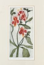 Cat Outram (Scottish), Alstroemeria, coloured etching no 23/50, in a glazed frame. (32cmx15cm) (