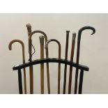 A good collection of seven walking sticks, five with silver mounts, one with horn handle, together