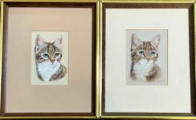 A pair of Rosalind Baldwin, Tabby Kitten, watercolour, signed bottom right, in a gilt glazed