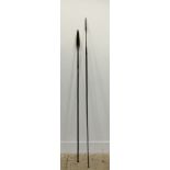 Two 19thc/20thc spears. (longest 168cm)