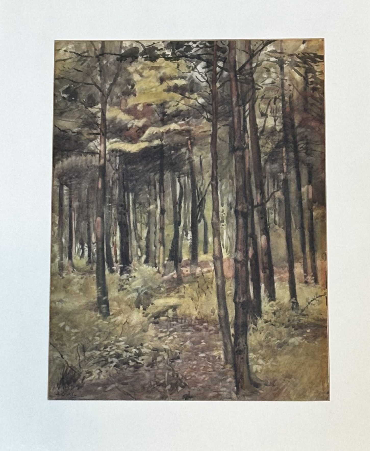 J.Burt, Woodland scene watercolour on paper, signed bottom left, in a glazed mounted frame.