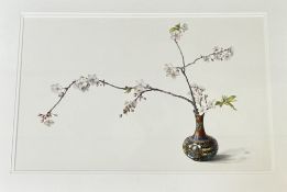 Sheila Buck-Peill, First Blossom in Cloisonne, watercolour on paper, signed bottom right, in a