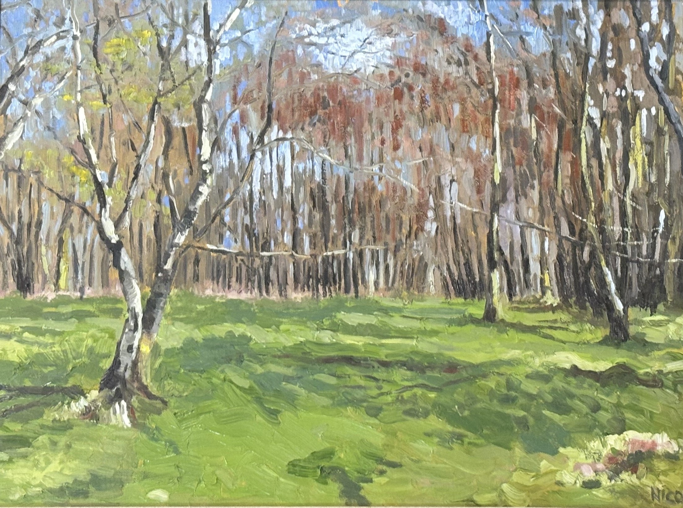 Nicol, summer forest scene, oil on canvas, signed bottom right, in a wooden frame. (44cmx59cm)