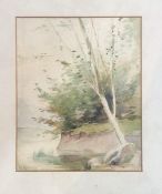 Unknown artist, riverbank scene, watercolour, signed bottom left, in a wooden glazed frame. (
