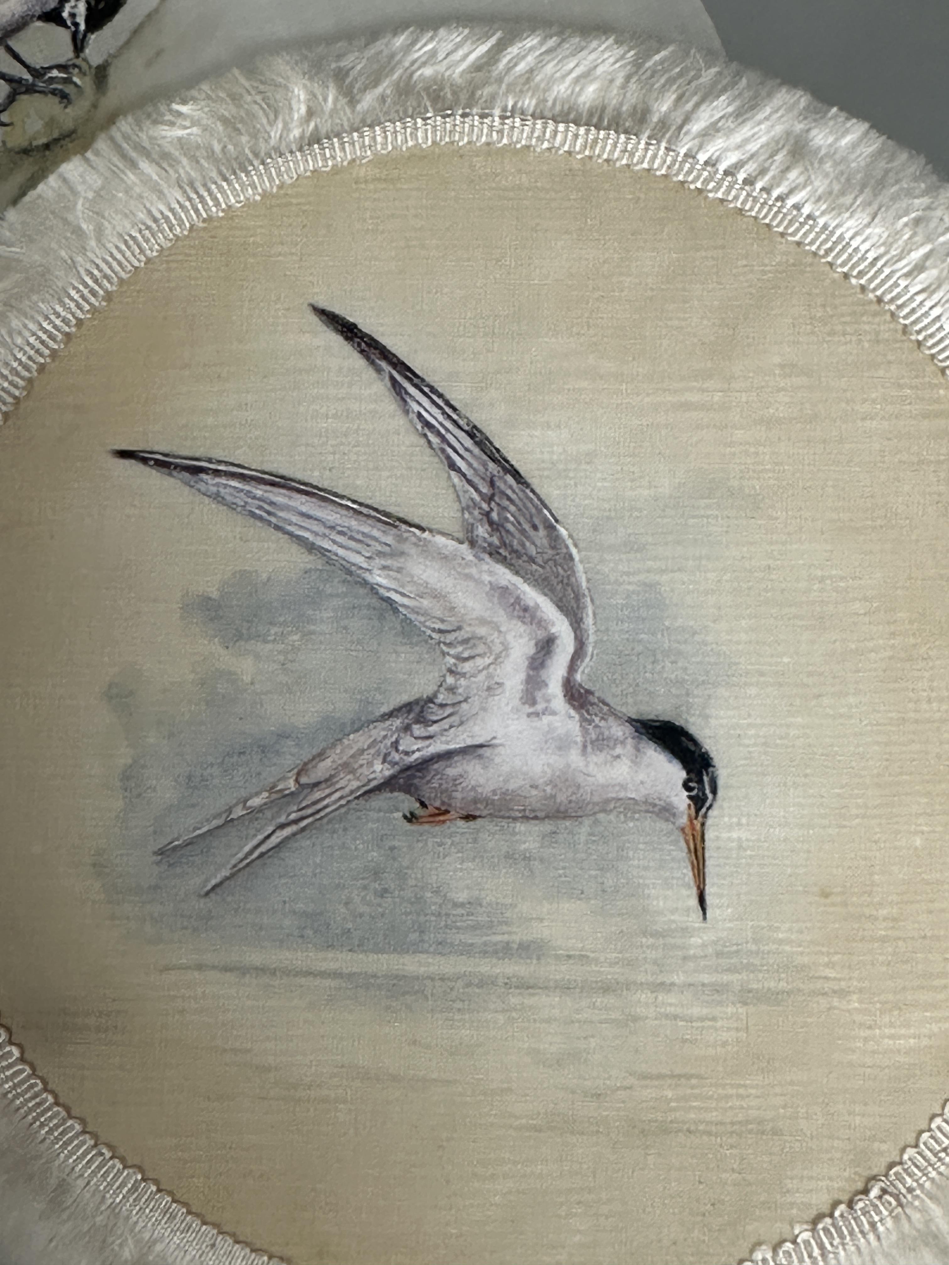 A set of 1920's hand painted dinner plate coasters of British birds on linen backed with silk and - Image 7 of 7