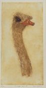 Susan Mitchell (British), Carrington Ostrich I, print 23/30, signed pencil bottom right in a glaze