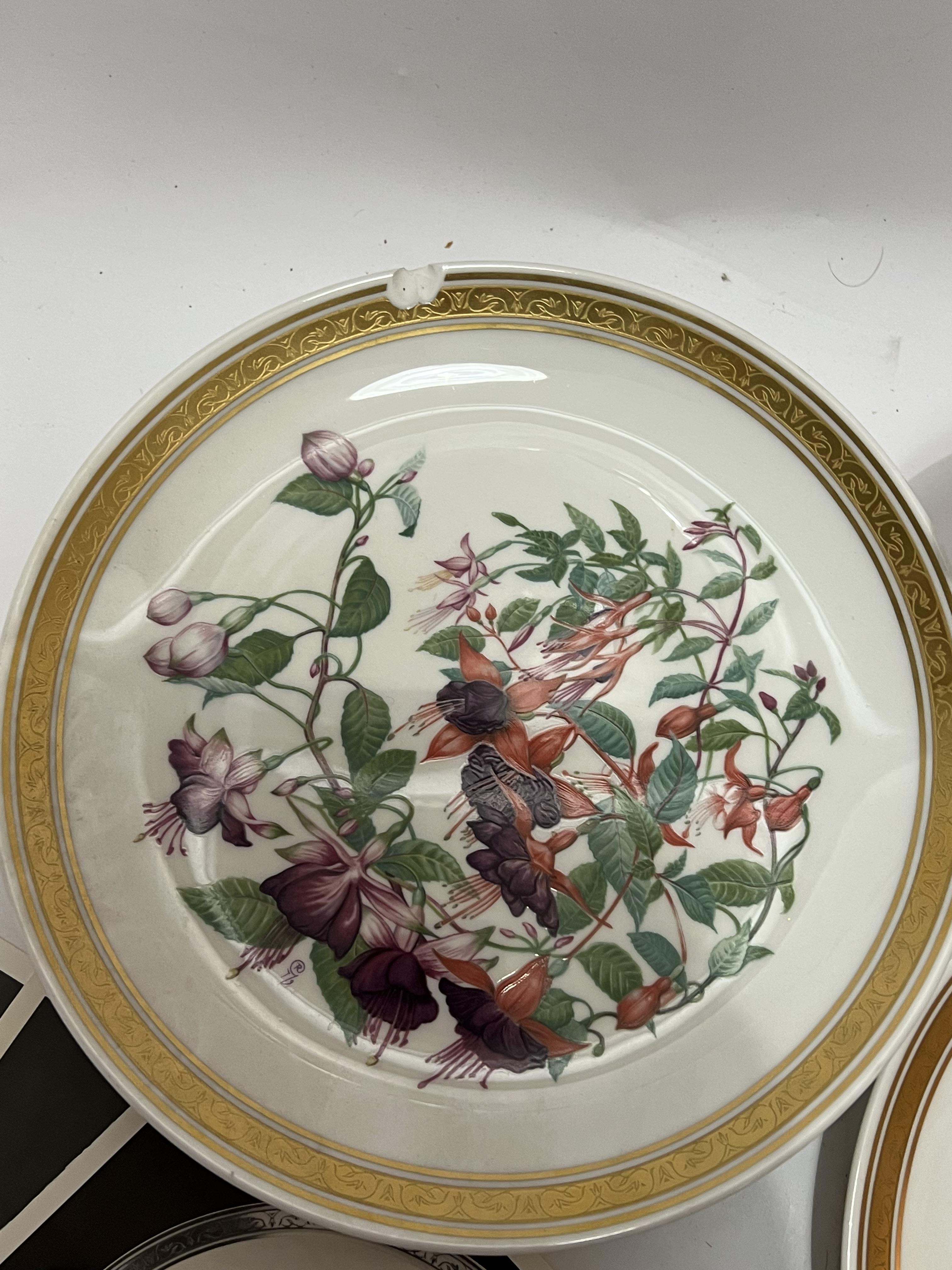 A set of twelve Franklin Porcelain plates with floral decoartiona and gilt edges (w- 23.5cm) with co - Image 2 of 4