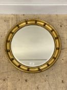 An early 20th century Regency style gilt composition circular wall mirror with bevelled plate and