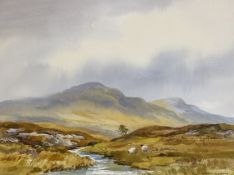 Robert Egginton (Irish 1943-), Bog Scene, near Gleaneagles, watercolour,  signed bottom right,