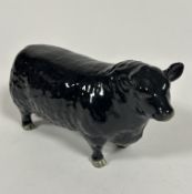 A Beswick pottery model of a Aberdeen Angus bull, no signs of damage or repairs, (H x 11.5 cm x L 20