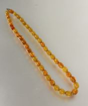 A mixed butterscotch and golden coloured 1930s style amber bead necklace, (each bead 0.5 cm L x 20