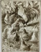 Peter Partington (b.1941) signed artist proof etching - Chickens, 28cm x 21cm, in glazed frame