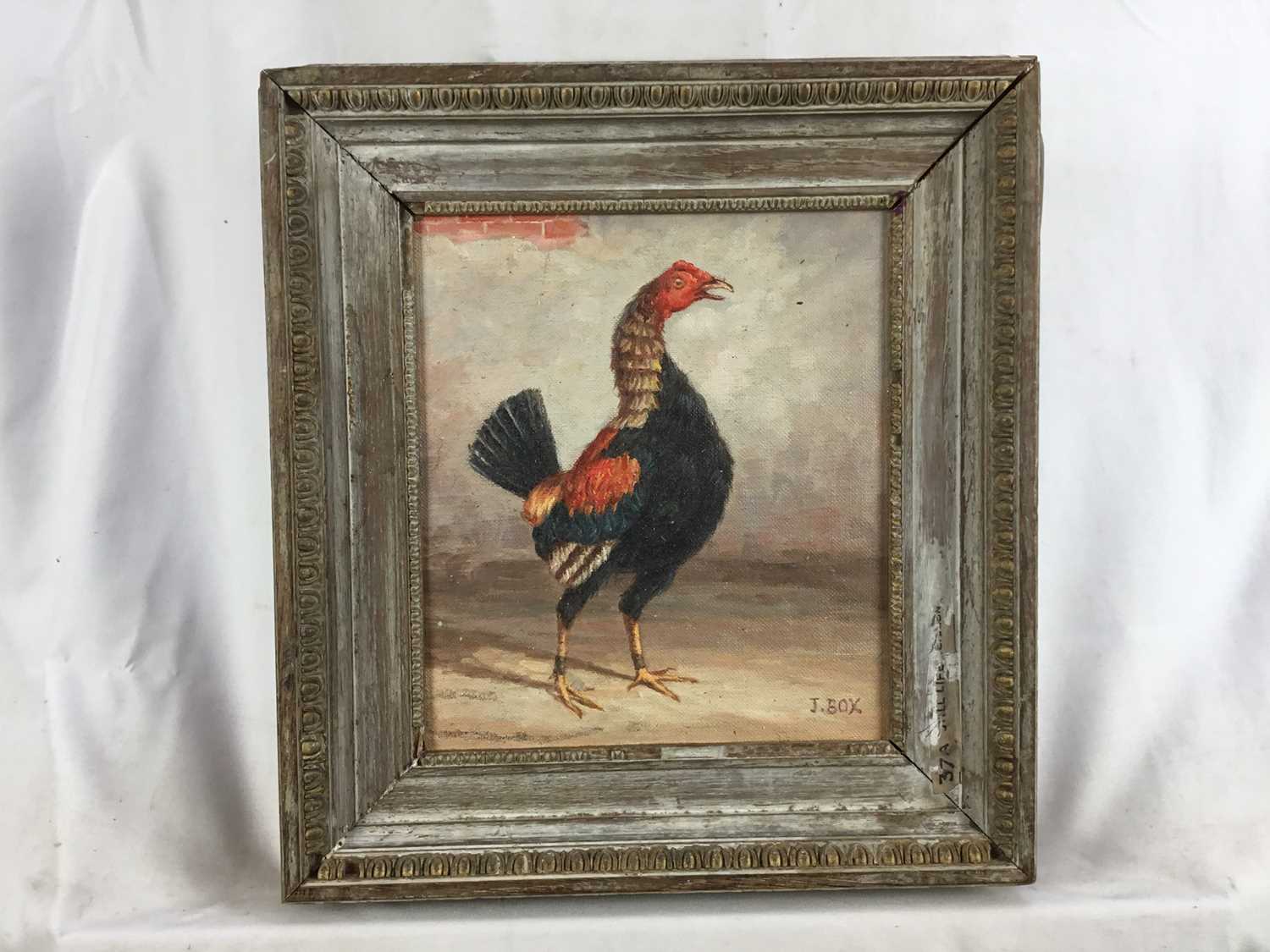 J. Box oil on canvas laid on board - a fighting cock, 23cm x 20cm, signed, framed - Image 2 of 5