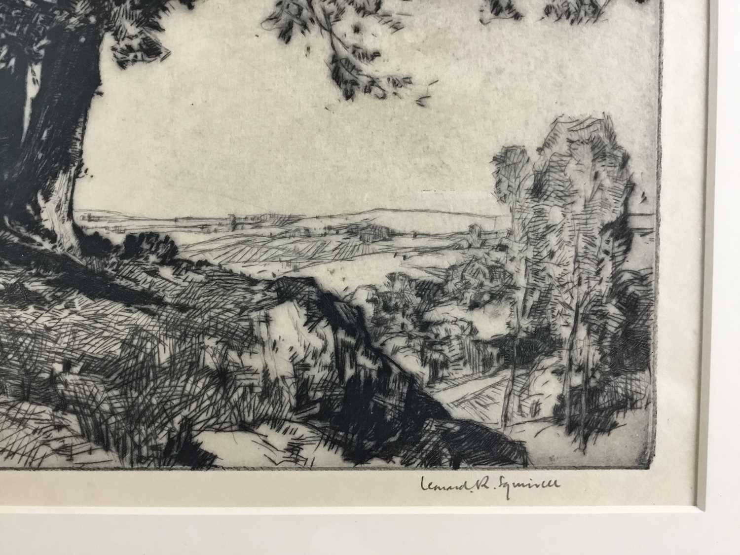 Leonard Russell Squirrell (1893-1979), etching - A Sunny Hillside, signed in pencil, framed and glaz - Image 3 of 8