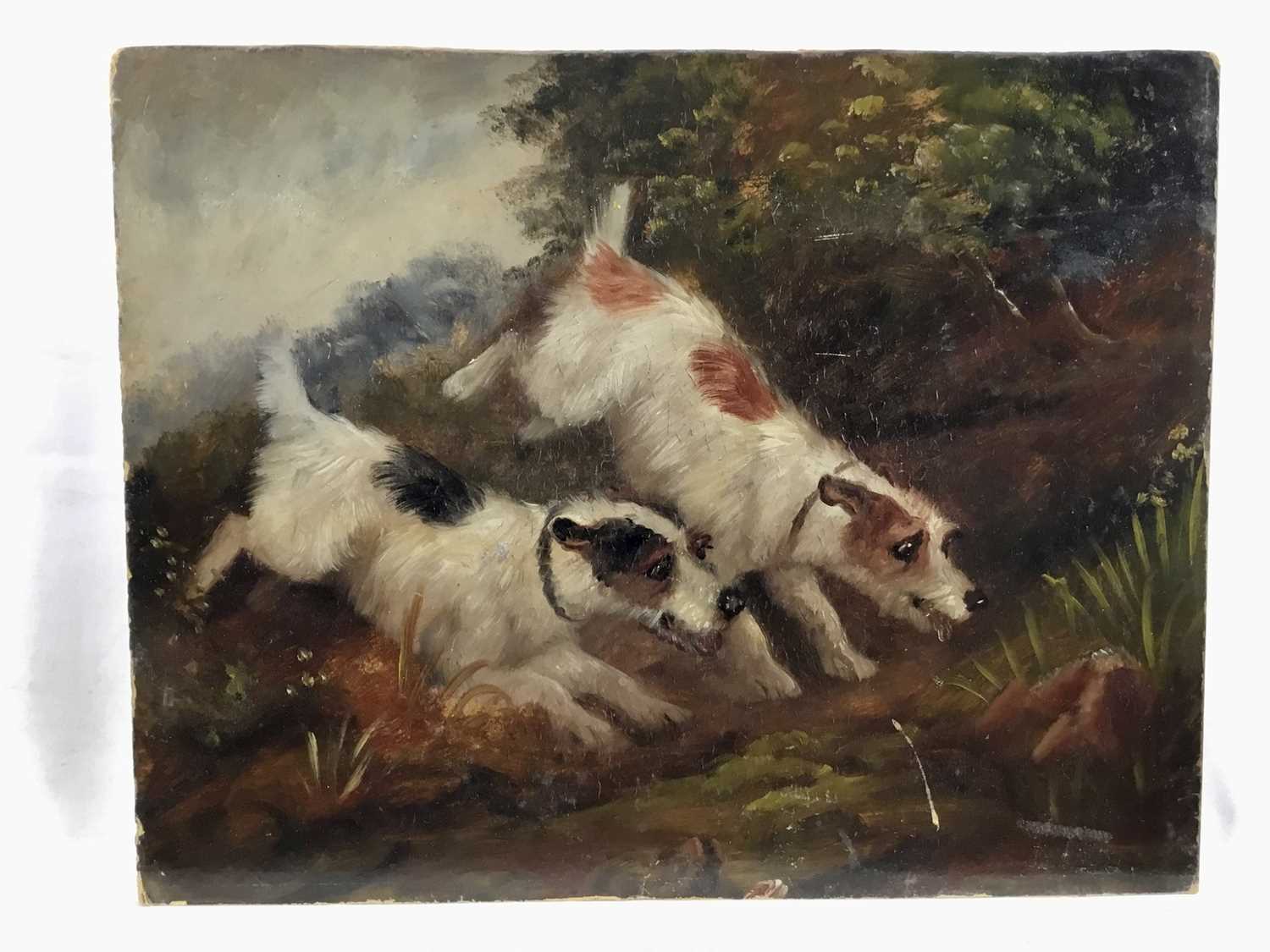 Attributed to Edward Armfield oil on board, a pair, Terrier Dogs rabbiting, - Image 2 of 7