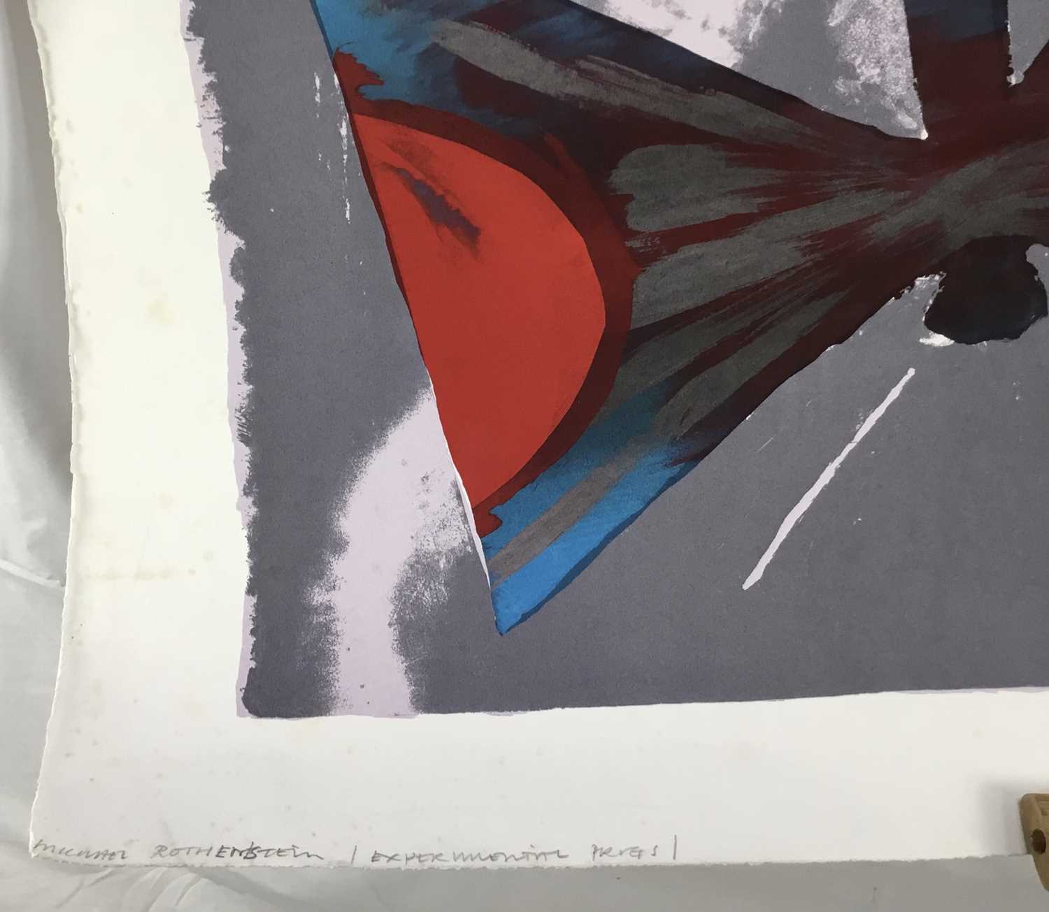 Michael Rothenstein (1908-1993) signed screenprint - Butterfly, unframed - Image 6 of 11