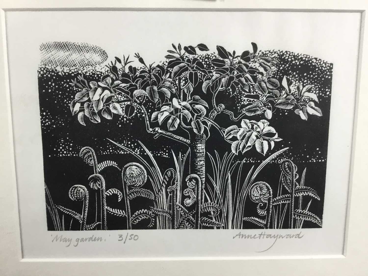 Anne Hayward, contemporary, pair of signed limited edition woodcut engravings, “A Year In The Garden - Image 2 of 5