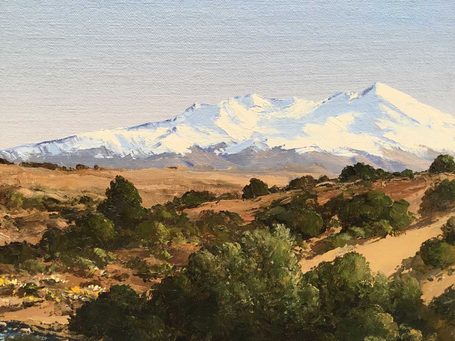 Peter J. Wallers (b.1953) oil on board - Australian Landscape, signed and dated 2003, 37cm x 50cm, f - Image 4 of 6