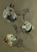 Elizabeth Sharp - pastel and watercolour- studies of a horse and gun dogs, 'Dubonnet' 'Corny' and 'C