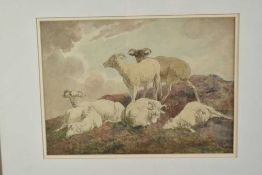 Robert Hills (1769-1844) watercolour - Sheep at Rest, signed verso, 26cm x 36cm, in glazed gilt fram