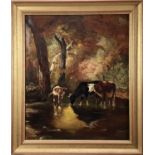 English School 20th century oil on canvas - cattle in woodland, signed 'C. J. Weeks', 60cm x 50cm, i