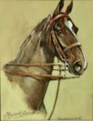 Elizabeth Sharp, oil on board - study of ‘Saddlebred’ a chestnut hunter, signed and inscribed, 24