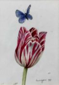 Glyn Morgan (1926-2015) watercolour, Tulip and butterfly, signed and dated '97, 16 x 12cm, glazed fr