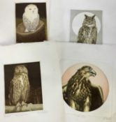 Alex MacKay, contemporary, group of five signed etchings of owls and a falcon, each with artists bli