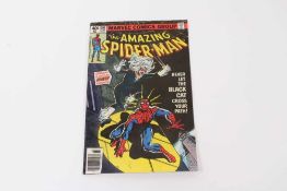 Marvel Comics, 1979 The Amazing Spider-Man, first appearance of Black Cat. Priced 40cent