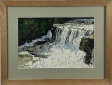 Pam Dan (Wivenhoe) signed mixed media - a waterfall, possibly Swallows Falls, Wales, dated '90, 27cm