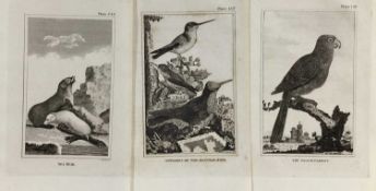 De Buffon forty engravings from the 1812 edition of natural history