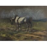 East Anglian school coloured chalks, horse in field, 26.5cm x 35.5cm, in mount