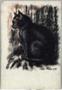 Colin Moss (1914-2005) mixed media, cat, signed and dated '53, 56 x 40cm
