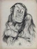 Colin Moss (1914-2005) pencil, Orangutan and baby, signed, 75 x 54cm