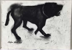 Colin Moss (1914-2005) charcoal, Angry dog, 41 x 60cm