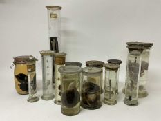 Gruesome collection of formaldehyde jars containing various alarming specimens