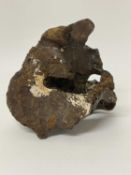 Large unidentified partially fossilised bone