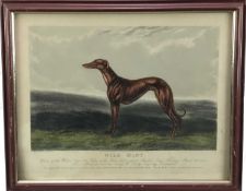 Wild Mint - Winner of the Waterloo Cup 1883 - coloured engraving by Edwin Henry Hunt, framed and gla