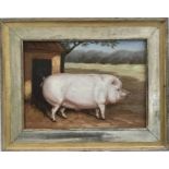 Continental School 20th century oil on canvas laid on wood board, A Prize Pig in a Sty,