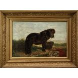 Nottinge oil on canvas A Pony in a landscape, signed, 29cm x 45cm
