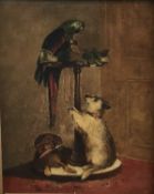 After Landseer oil on canvas study of a Macaw and a Terrier, 29cm x 23cm in gilt frame
