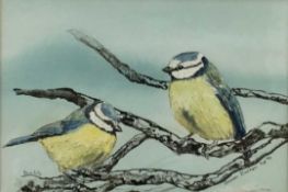 Donavan Flintham (Contemporary): watercolour, blue tits on a branch, 22x15cm