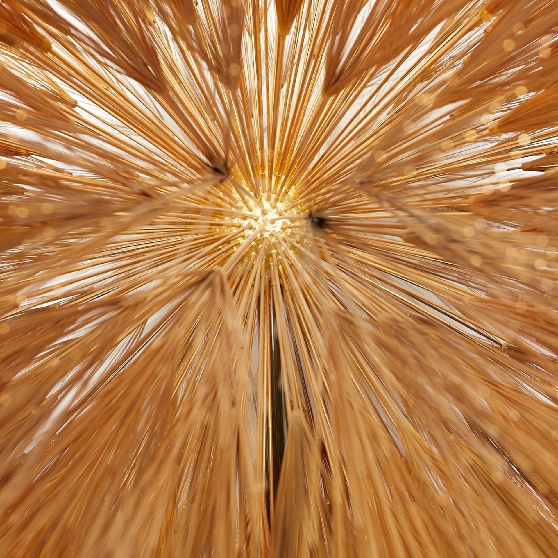 Harry Bertoia Dandelion Sunburst Sculpture - Image 6 of 9