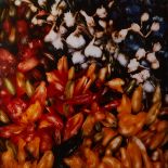 David Miller Cibachrome Pepper Still Life